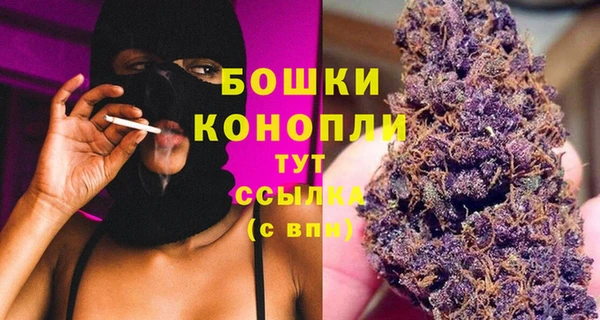 PSILOCYBIN Осинники