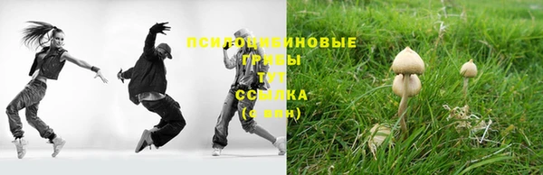 кокс Осташков