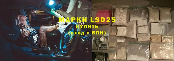 PSILOCYBIN Осинники