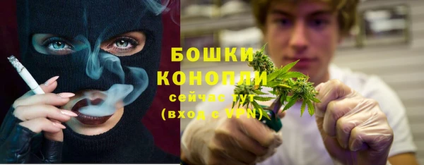 PSILOCYBIN Осинники