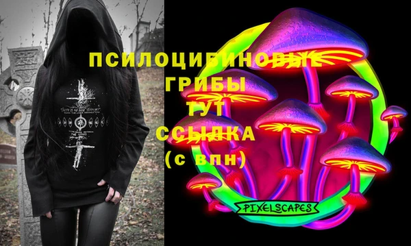 кокс Осташков