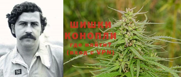 PSILOCYBIN Осинники