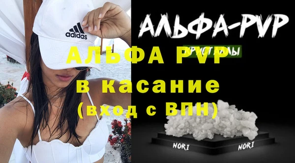 PSILOCYBIN Осинники