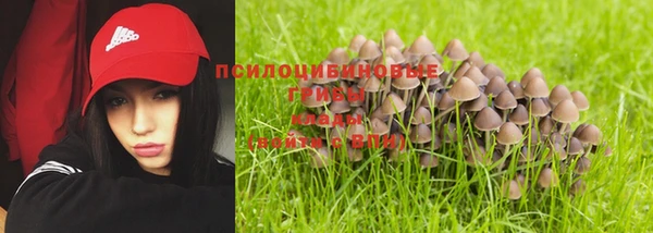 дмт Остров