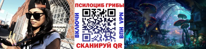 Псилоцибиновые грибы прущие грибы  Сусуман 